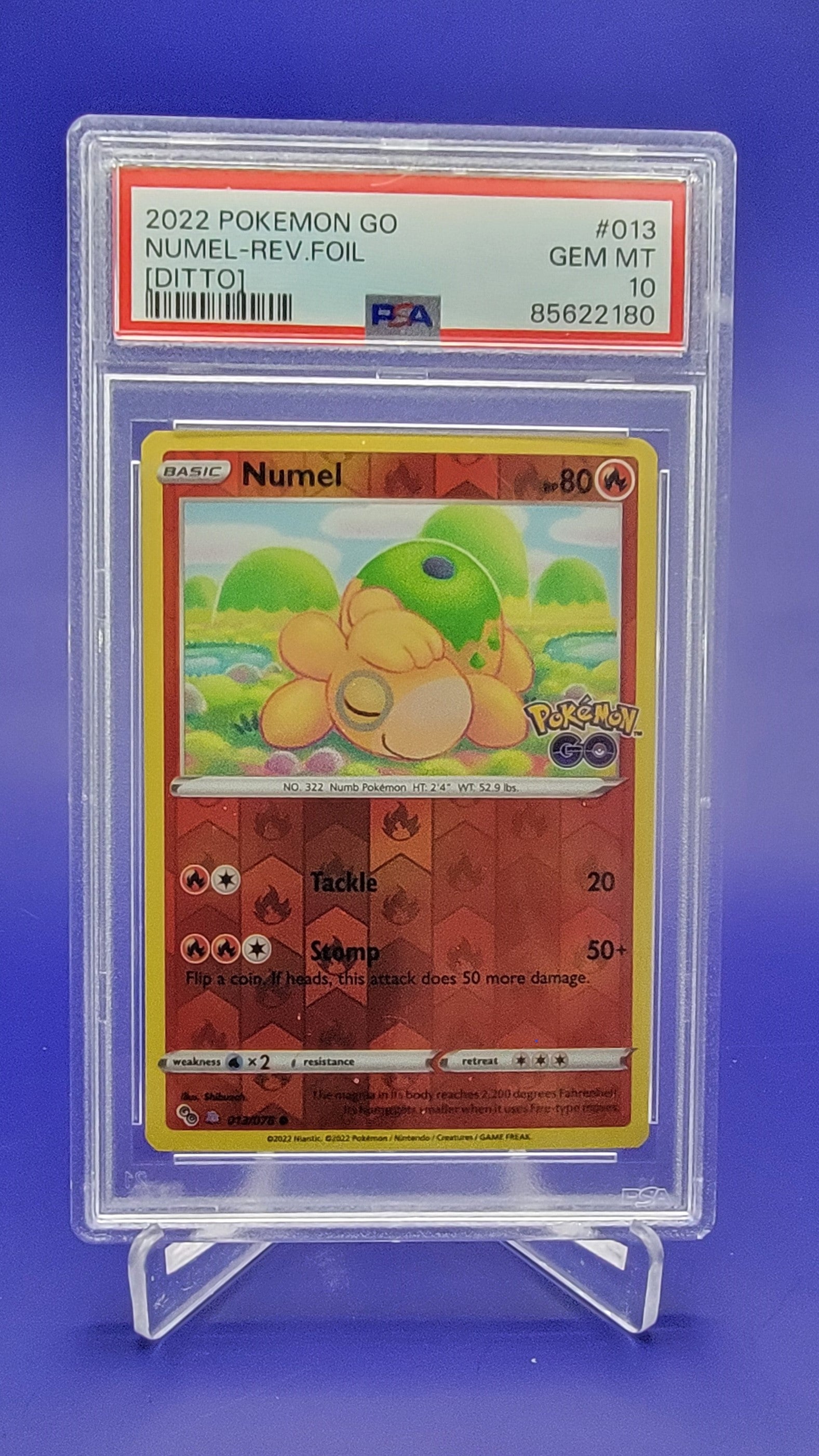 2022 Pokémon GO Numel[Ditto] #013